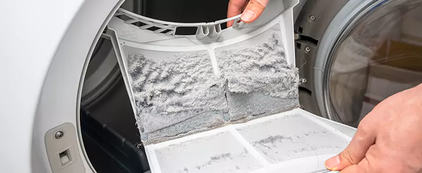 Best Dryer Lint Removal Company in Apopka, Florida