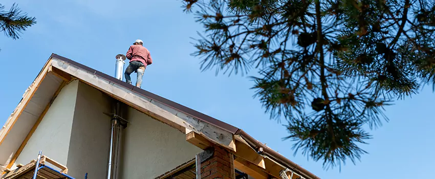 Birds Removal Contractors from Chimney in Apopka, FL