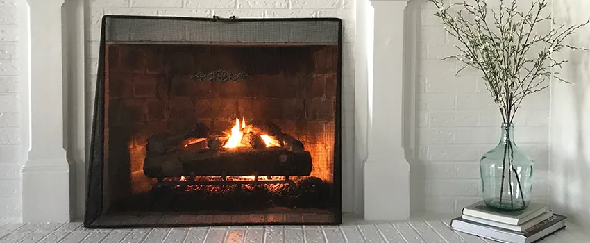 Cost-Effective Fireplace Mantel Inspection And Maintenance in Apopka, FL