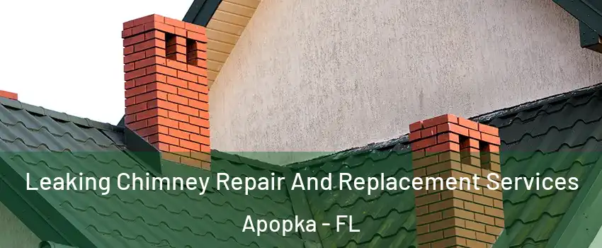  Leaking Chimney Repair And Replacement Services Apopka - FL