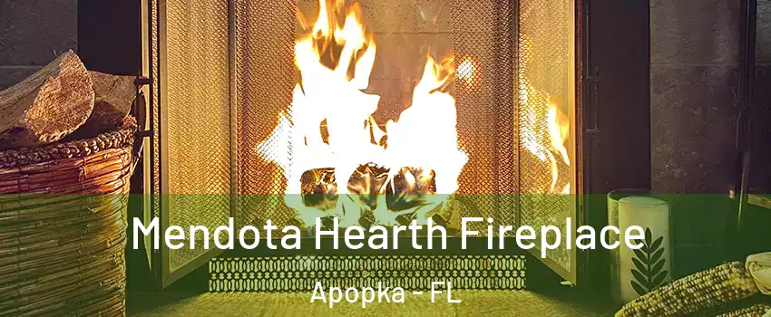  Mendota Hearth Fireplace Apopka - FL
