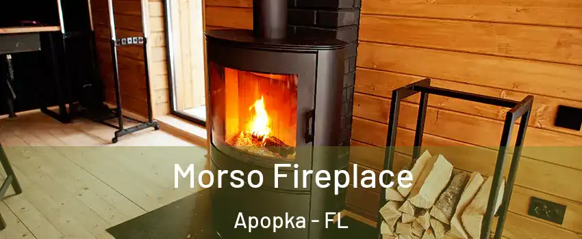  Morso Fireplace Apopka - FL