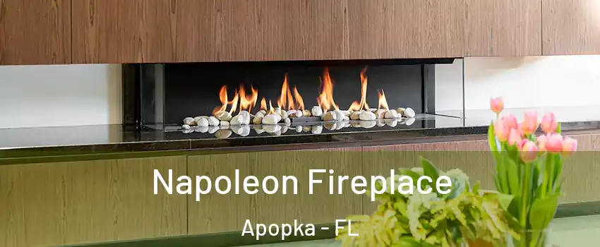  Napoleon Fireplace Apopka - FL