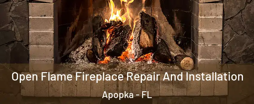  Open Flame Fireplace Repair And Installation Apopka - FL