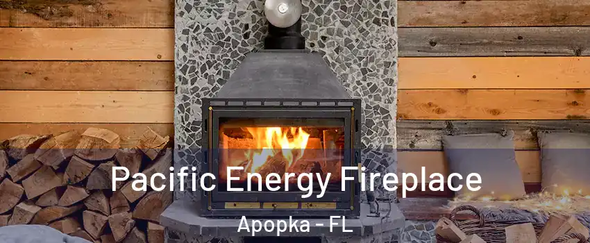  Pacific Energy Fireplace Apopka - FL