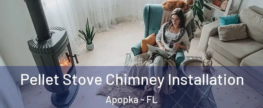  Pellet Stove Chimney Installation Apopka - FL