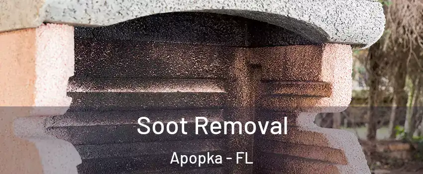  Soot Removal Apopka - FL