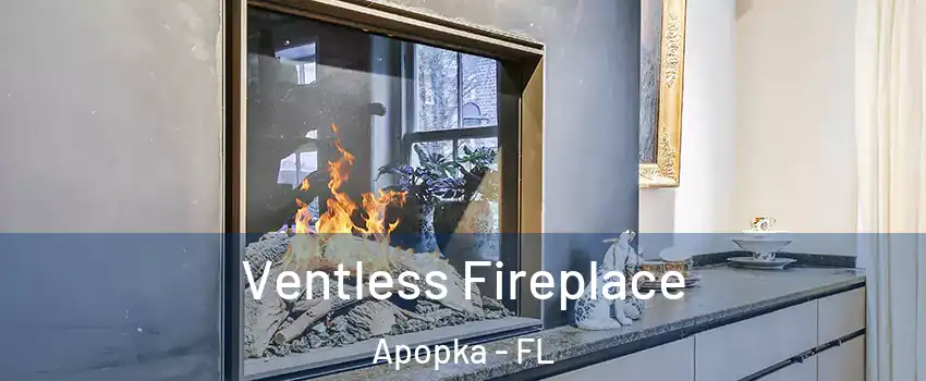  Ventless Fireplace Apopka - FL