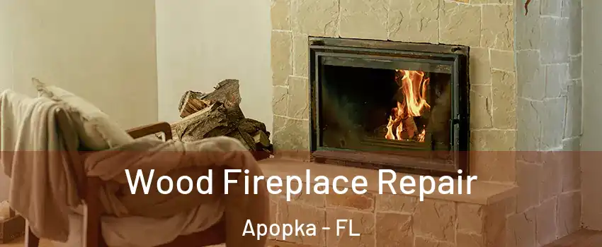  Wood Fireplace Repair Apopka - FL