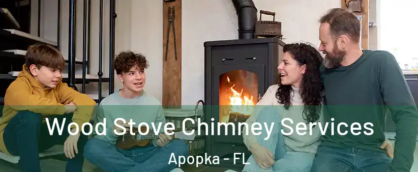  Wood Stove Chimney Services Apopka - FL