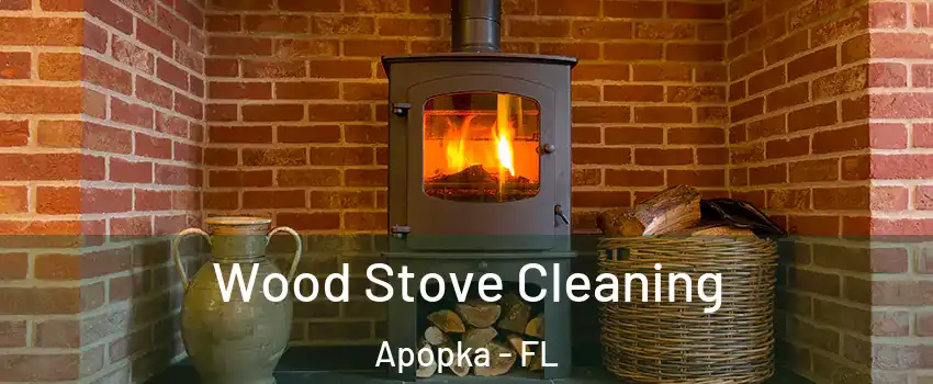  Wood Stove Cleaning Apopka - FL