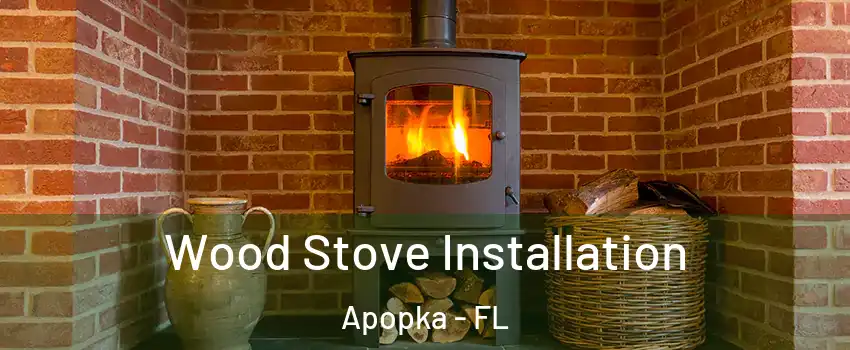  Wood Stove Installation Apopka - FL
